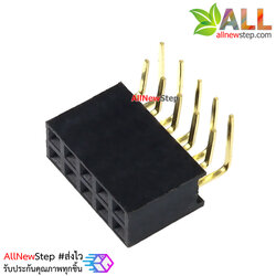 ขาก้างปลาตัวเมียแบบฉาก 2x5 ขา Double Row Hole Jack 2x5 PIN Header 2.54mm