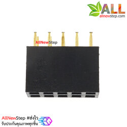 2.54mm pitch female double row female socket 2x5 pin