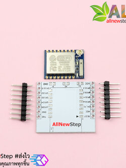 ESP8266 ESP-07 + Adapter Plate พร้อมขาก้างปลา