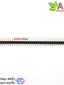 ก้างปลา แบบคู่ 2x40 ขา ระยะห่าง 2.54mm