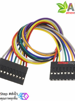 Jumper Wire 9P Female to Female สายไฟจัมเปอร์ เมีย-เมีย 9 เส้น ยาว 20cm ระยะขา 2.54mm