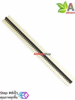 ก้างปลา 2x50 ขา ระยะห่าง 1.27mm