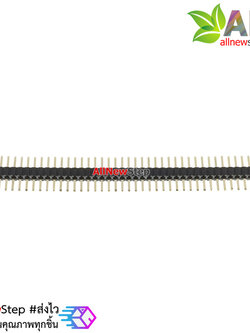 ก้างปลา ระยะขา 1.27mm 1x40 ขา สีดำ