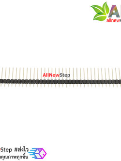 ก้างปลา 2.54mm แบบยาว 17mm 1x40pin long pin header 2.54mm 40p