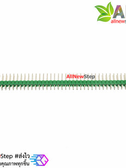 ก้างปลา 2x40 ขา สีเขียว 2.54mm green Single Row Male 2X40 Copper Pin Header Strip