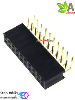 ขาก้างปลาตัวเมียแบบฉาก 2x10 ขา Double Row Hole Jack 2x10 PIN Header 2.54mm