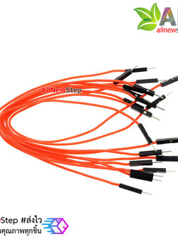 สายไฟจัมเปอร์ 20cm แบบ ผู้-ผู้ สีแดง จำนวน 10 เส้น