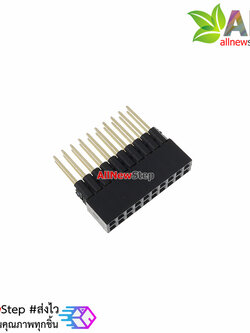 2x10 Pin 2.54mm double socket