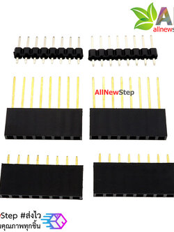 ชุดขาก้างปลาและ Pin Header wemos d1 mini