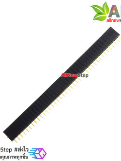 1x40 Pin 2.54mm Pin Square Female Pin Header Connector