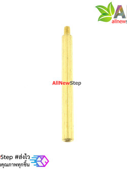น็อตทองเหลือง NUT M2 ขนาด 30+3mm