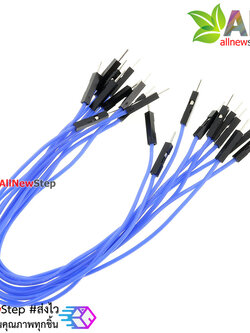 สายไฟจัมเปอร์ ผู้-ผู้ สีน้ำเงิน 20cm จำนวน 10 เส้น