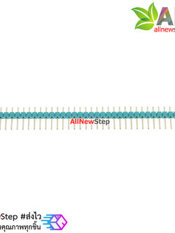 ก้างปลา 40 ขา สีเขียว 2.54mm Green Single Row Male 1X40 Copper Pin Header Strip