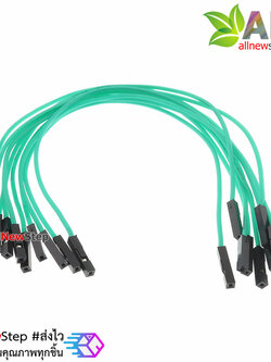 สายไฟจัมเปอร์ 20cm สาย jumper 20 cm จำนวน 10 เส้น เมีย-เมีย สีเขียว