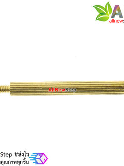 น็อตทองเหลือง NUT M2 ขนาด 25+3mm