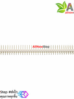 ก้างปลา 2x40 ขา สีขาว 2.54mm white Single Row Male 2X40 Copper Pin Header Strip