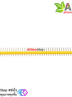 ก้างปลา 40 ขา สีเหลือง 2.54mm Yellow Single Row Male 1X40 Copper Pin Header Strip