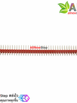 ก้างปลา 2x40 ขา สีแดง 2.54mm Red Single Row Male 2X40 Copper Pin Header Strip