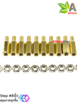 น็อตทองเหลืองตัวผู้และตัวเมีย 3mm 10+6mm Pillars Nut M3 10 คู่