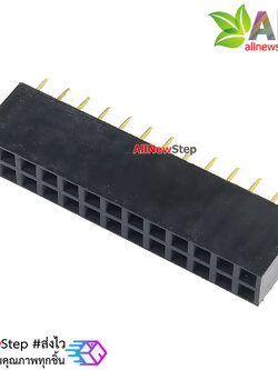2.54mm pitch female double row female socket 2x13 pin
