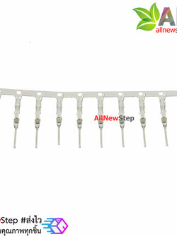 Dupont male terminal 2.54mm ไส้ไก่ ตัวผู้ จำนวน 10 ชิ้น