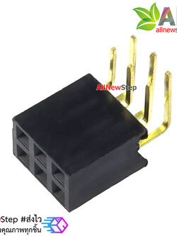 ขาก้างปลาตัวเมียแบบฉาก 2x3 ขา Double Row Hole Jack 2x3 PIN Header 2.54mm