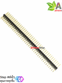 ขาก้างปลา 2x40 ขา ระยะห่าง Pitch 1.27mm