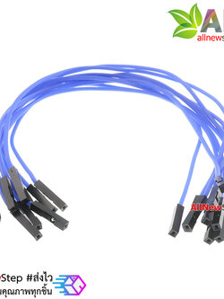 สายไฟจัมเปอร์ 20cm สาย jumper 20 cm จำนวน 10 เส้น เมีย-เมีย สีน้ำเงิน