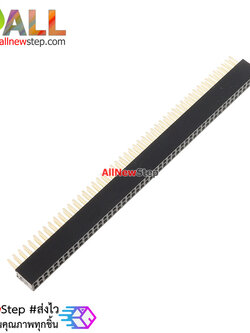 Pin header ระยะห่างขา 1.27mm 50p ขนาด 2x50 ขา