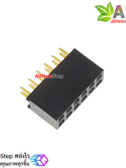 2.54mm pitch female double row female socket 2x6 pin