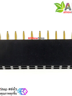 2.54mm pitch female double row female socket 2x10 pin