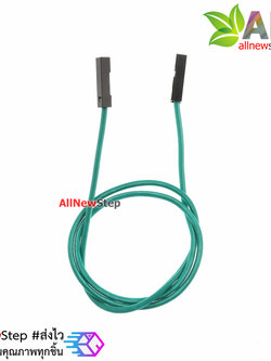สายจัม เมีย-เมีย Jump Wire (Female to Female) สายไฟ ยาว 30cm. คละสี จำนวน 1 เส้น