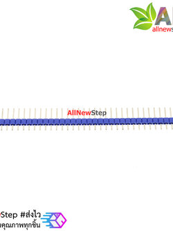 ก้างปลา 40 ขา สีฟ้า 2.54mm Blue Single Row Male 1X40 Copper Pin Header Strip