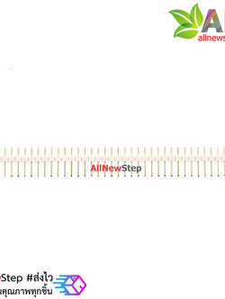 ก้างปลา 40 ขา สีขาว 2.54mm White Single Row Male 1X40 Copper Pin Header Strip