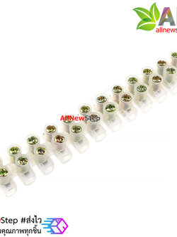 ช่องต่อสายไฟ 12 จุด terminal block