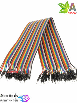 สาย ไฟจัมเปอร์ ผู้-ผู้ ยาว 40cm. จำนวน 40 เส้น