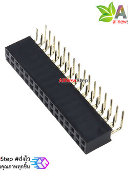 ขาก้างปลาตัวเมียแบบฉาก 2x16 ขา Double Row Hole Jack 2x16 PIN Header 2.54mm