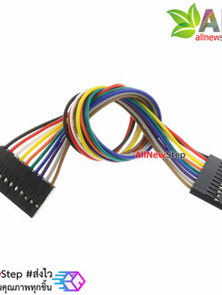 Jumper Wire 10P Female to Female สายไฟจัมเปอร์ เมีย-เมีย 10 เส้น ยาว 20cm