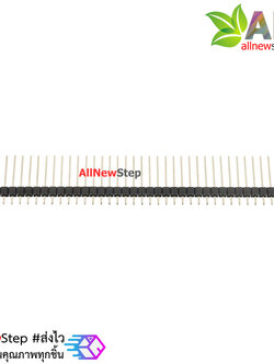 ก้างปลา 1x40pin 2.54mm แบบยาว 15mm 40p Pin Header