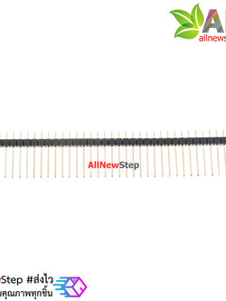 ก้างปลาแบบยาว 2.54mm 1x40pin Single row needle lengthened Single Pin 19MM Male Copper Pin Header