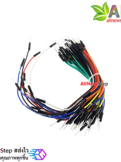 สายไฟ ผู้-ผู้ Jumper จัมเปอร์แพ็ค 65 เส้น