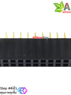 2x11P 2.54mm pitch female double row female socket 2x11 pin