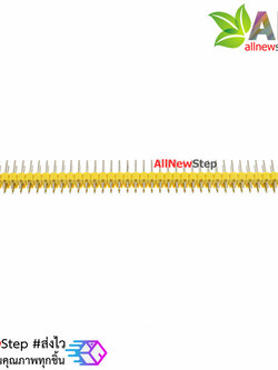 ก้างปลา 2x40 ขา สีเหลือง 2.54mm double Row Male 2X40 Copper Pin Header Strip