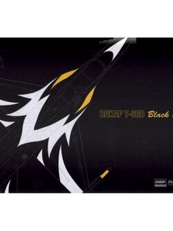 1/48 ROKAF T-50B "Black Eagles"