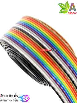 สายแพสีรุ้ง 20 เส้น ยาว 1 เมตร