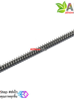 ก้างปลา 2x40 ขากลม 2.54 Double row round hole seat 2x40p