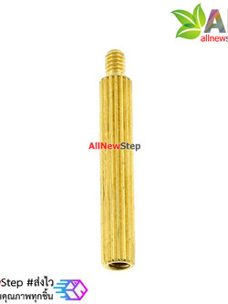 น็อตทองเหลือง NUT M2 ขนาด 18+3mm