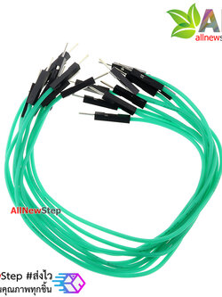 สายไฟจัมเปอร์ 20cm ผู้-ผู้ สีเขียว จำนวน 10 เส้น