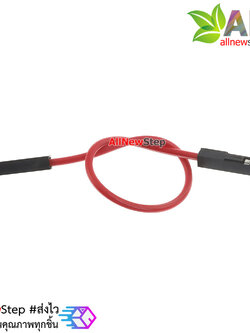 สายจัม เมีย-เมีย Jump Wire (Female to Female) สายไฟ ยาว 10cm. คละสี จำนวน 1 เส้น