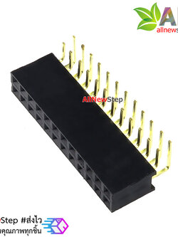 ขาก้างปลาตัวเมียแบบฉาก 2x12 ขา Double Row Hole Jack 2x12PIN Header 2.54mm